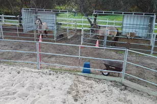 2092 Tudor Ln, Fallbrook, CA 92028 - Photo 43