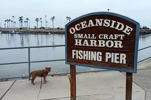 1202 N Pacific Street, Oceanside, CA 92054 - Photo 53