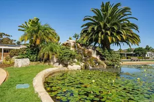 3438 Don Ortega Dr, Carlsbad, CA 92010 - Photo 47