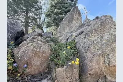 22298 Crestline Road, Palomar Mountain, CA 92060 - Photo 41