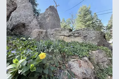 22298 Crestline Road, Palomar Mountain, CA 92060 - Photo 37