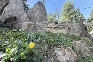 22298 Crestline Rd, Palomar Mountain, CA 92060 - Photo 37