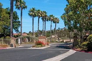 7768 Caminito Monarca, Carlsbad, CA 92009 - Photo 39