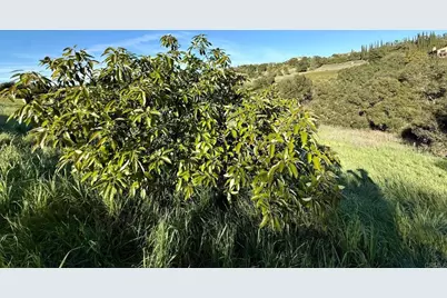 0 Palomar Drive, Fallbrook, CA 92028 - Photo 11