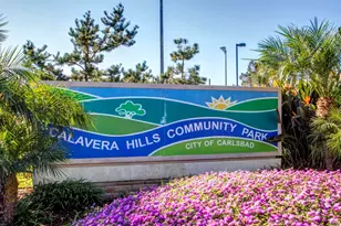 3712 Ridge Ct, Carlsbad, CA 92010 - Photo 63