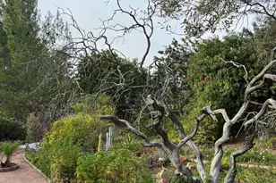 18218 Paradise Mountain Rd #Space 83, Valley Center, CA 92082 - Photo 45