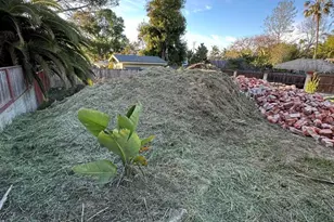 844 Saxony Rd, Encinitas, CA 92024 - Photo 3