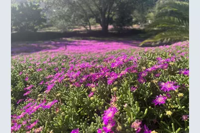 2187 Mil Sorpresas Drive, Fallbrook, CA 92028 - Photo 47