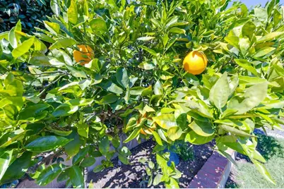 8483 Golden Ridge Road, Lakeside, CA 92040 - Photo 33