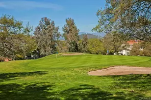 28444 Fallen Tree Ln, Escondido, CA 92026 - Photo 59