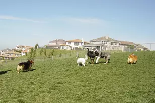 1717 Thorley Way, San Marcos, CA 92078 - Photo 49