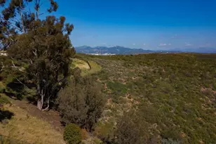 10737 Birch Bluff Ave, San Diego, CA 92131 - Photo 59