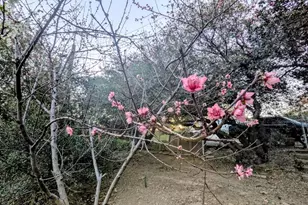 2855 Heliotrope Dr, Julian, CA 92036 - Photo 27