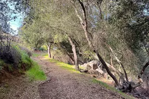 11782 Betsworth Rd, Valley Center, CA 92082 - Photo 51