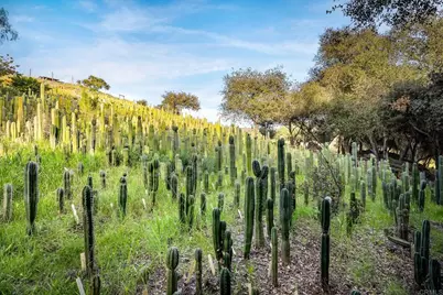 11782 Betsworth Road, Valley Center, CA 92082 - Photo 39