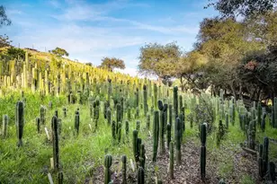 11782 Betsworth Rd, Valley Center, CA 92082 - Photo 39