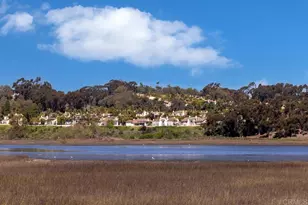 2586 Delphinium Ln, Carlsbad, CA 92008 - Photo 29