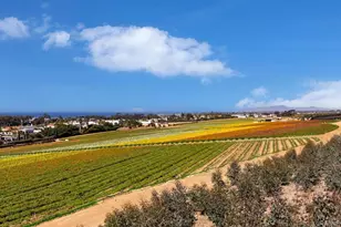 2586 Delphinium Ln, Carlsbad, CA 92008 - Photo 15