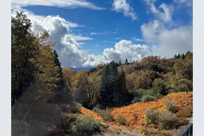 22209 Crestline Road, Palomar Mountain, CA 92060 - Photo 41