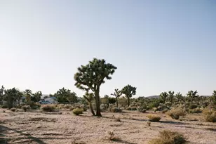 57222 Hillcrest Dr, Yucca Valley, CA 92284 - Photo 9