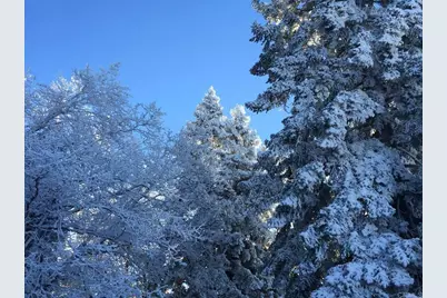 3413 Fern Meadow Road, Palomar Mountain, CA 92060 - Photo 53