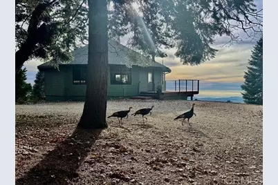 3413 Fern Meadow Road, Palomar Mountain, CA 92060 - Photo 39