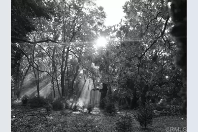 3413 Fern Meadow Road, Palomar Mountain, CA 92060 - Photo 55