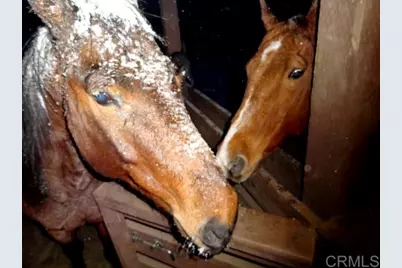 3413 Fern Meadow Road, Palomar Mountain, CA 92060 - Photo 47