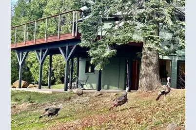 3413 Fern Meadow Road, Palomar Mountain, CA 92060 - Photo 31