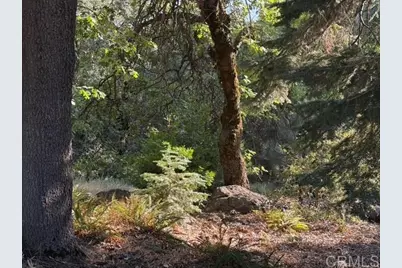 3413 Fern Meadow Road, Palomar Mountain, CA 92060 - Photo 65