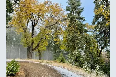 3413 Fern Meadow Road, Palomar Mountain, CA 92060 - Photo 37