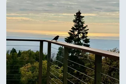 3413 Fern Meadow Road, Palomar Mountain, CA 92060 - Photo 15