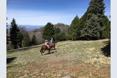 3413 Fern Meadow Road, Palomar Mountain, CA 92060 - Photo 43