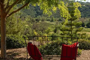 31267 Rancho Amigos, Bonsall, CA 92003 - Photo 57