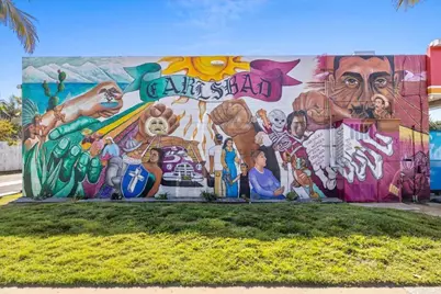 3379 Roosevelt St. Street, Carlsbad, CA 92008 - Photo 5