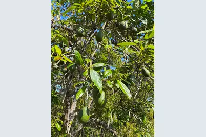 710 Buena Creek Road, San Marcos, CA 92069 - Photo 61