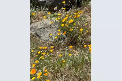 25770 E Grade Road, Santa Ysabel, CA 92070 - Photo 71