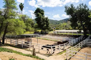 7017 Via Mariposa Sur, Bonsall, CA 92003 - Photo 37