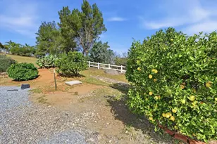 2852 Conestoga Ct, Alpine, CA 91901 - Photo 55