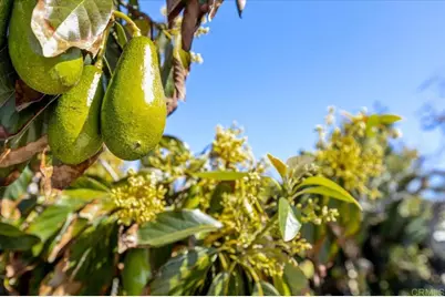 3630 Donna Drive, Carlsbad, CA 92008 - Photo 21