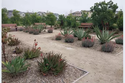 13520 Walsh Way, Valley Center, CA 92082 - Photo 53