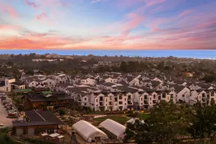 1044 Palmaria Ct, Encinitas, CA 92024 - Photo 47