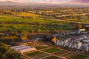 1044 Palmaria Ct, Encinitas, CA 92024 - Photo 7