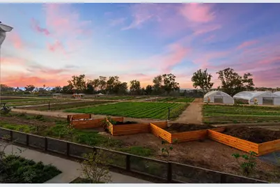 1044 Palmaria Court, Encinitas, CA 92024 - Photo 39