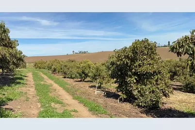 0 Via Puerta Del Sol, Bonsall, CA 92003 - Photo 15