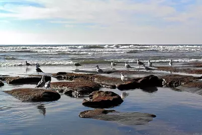 7302 Santa Barbara Street #323, Carlsbad, CA 92011 - Photo 29