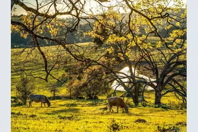 4430 Deer Lake Park Road, Julian, CA 92036 - Photo 5