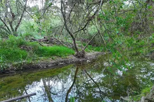 9237 Harmony Grove, Escondido, CA 92029 - Photo 49