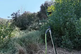 9237 Harmony Grove, Escondido, CA 92029 - Photo 43