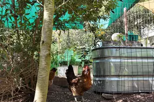 9237 Harmony Grove, Escondido, CA 92029 - Photo 3